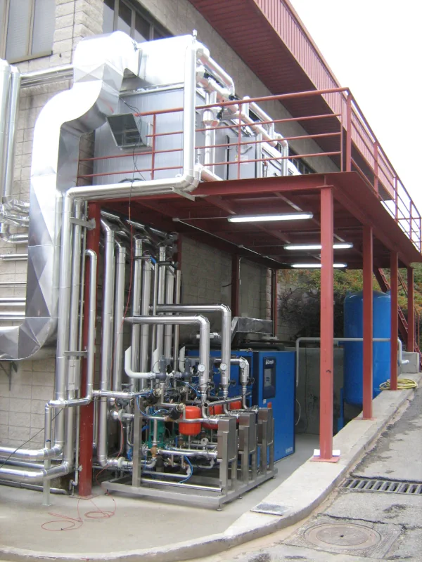 Proyecto cosmético 04